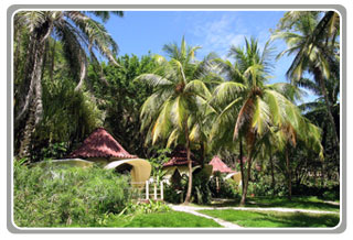 Ylang Ylang Beach Resort Costa Rica